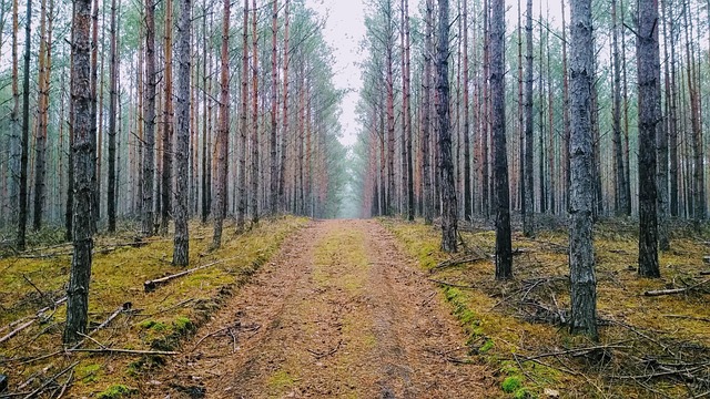 Smarte Außenbeleuchtung und Überwachung Landhaus Brandenburg